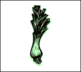 05poireau.gif