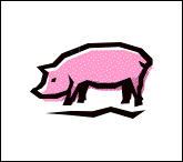 11cochon.gif