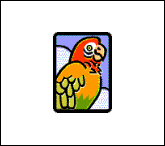 12perroquet.gif