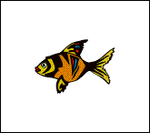 13poisson.gif