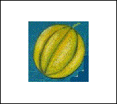34melon.gif
